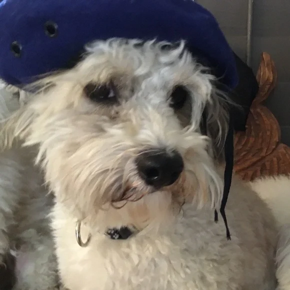 Offers & Bundles - Picture 7 of 9